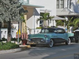 Florida_2007-2008-003